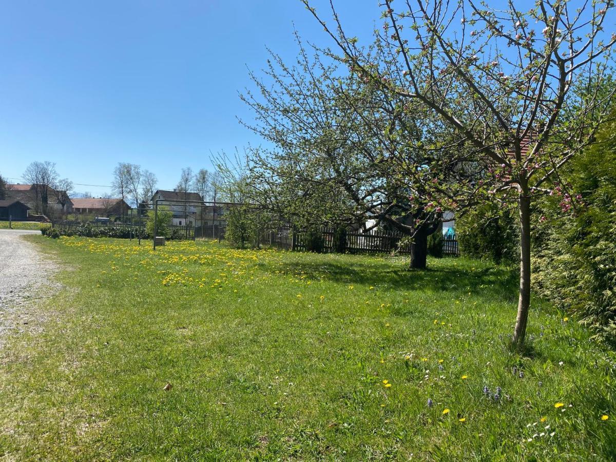 Gasthof Graf Steingaden Exteriér fotografie